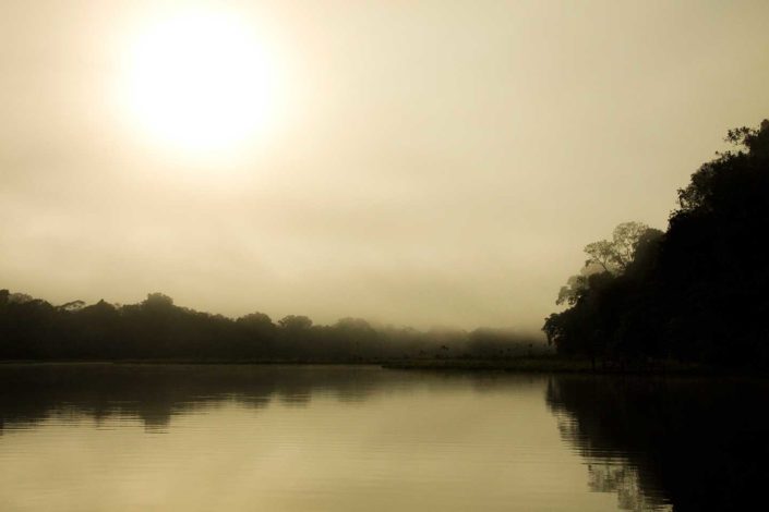 Lago y reflejo de árboles amazónicos