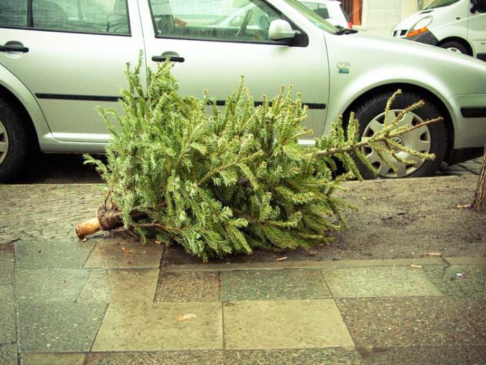Árbol de Navidad tirado en el suelo