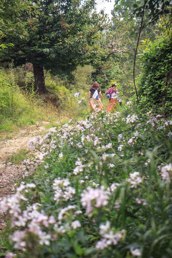 Mujeres paseando por el bosque