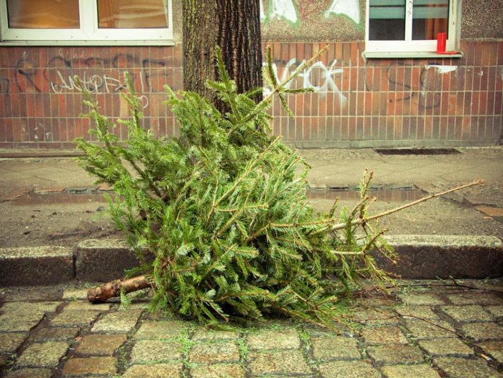 Árbol de Navidad tirado en el suelo