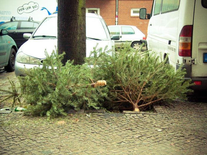 Árbol de Navidad tirado en el suelo