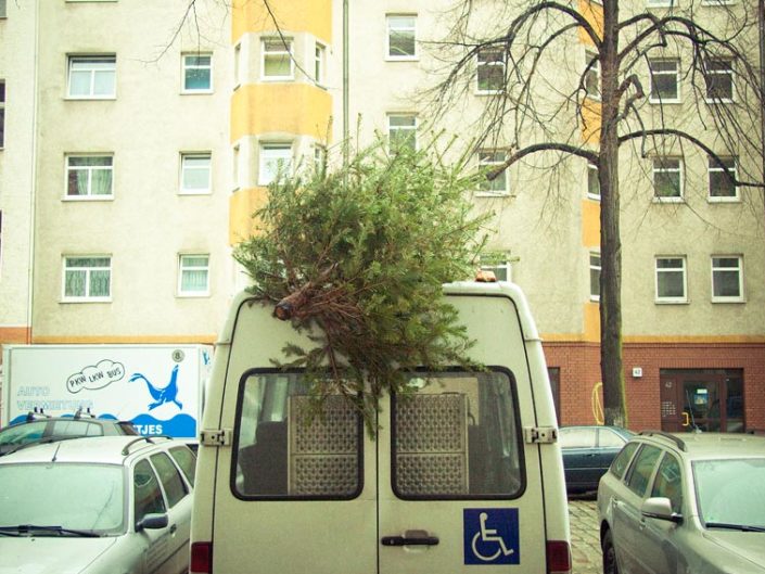 Árbol de Navidad tirado en el suelo