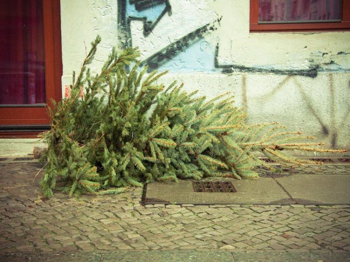 Árbol de Navidad tirado en el suelo