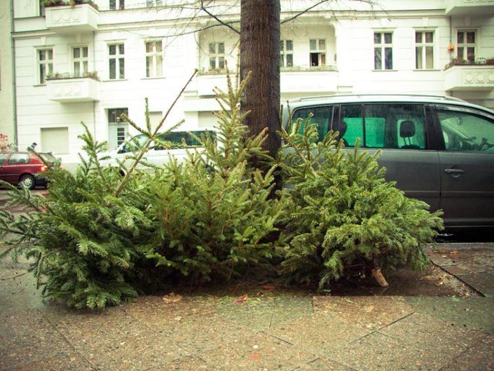 Árbol de Navidad tirado en el suelo