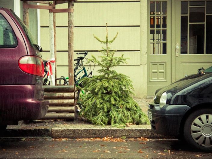 Árbol de Navidad tirado en el suelo