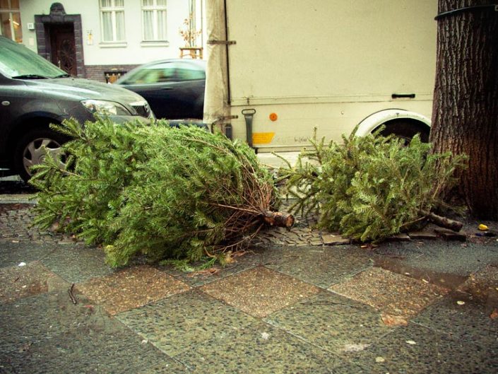 Árbol de Navidad tirado en el suelo