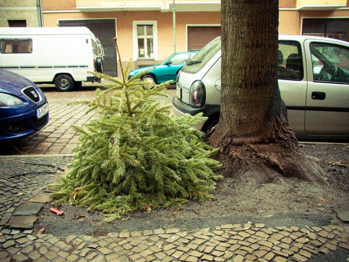 Árbol de Navidad tirado en el suelo