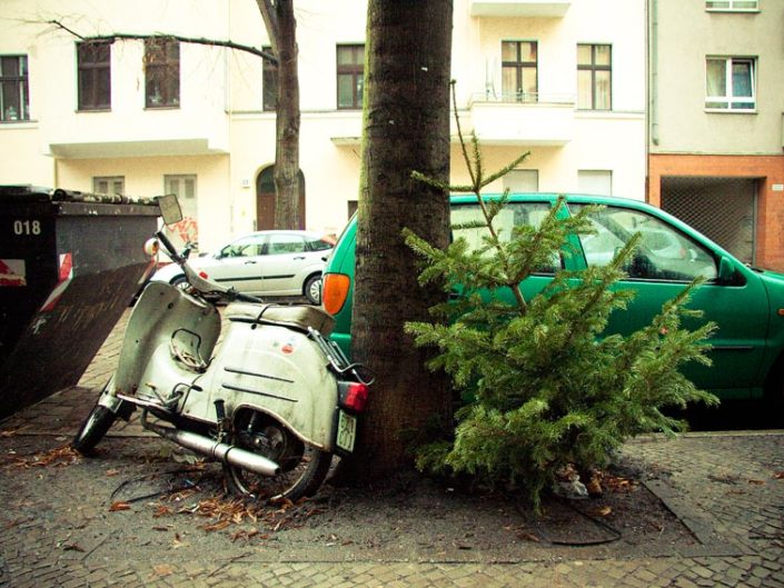 Árbol de Navidad tirado en el suelo
