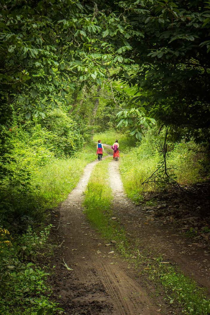 Mujeres paseando por el bosque